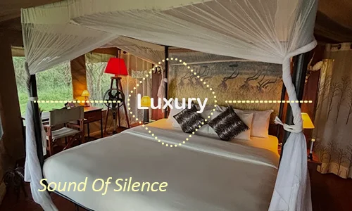Sound of Silence Serengeti luxury camp - Serengeti