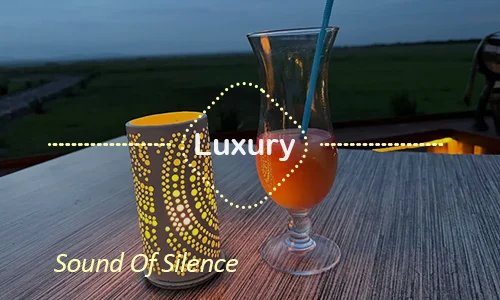 Serengeti luxury safari travel Tanzania