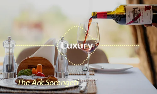 Serengeti luxury safari travel Tanzania