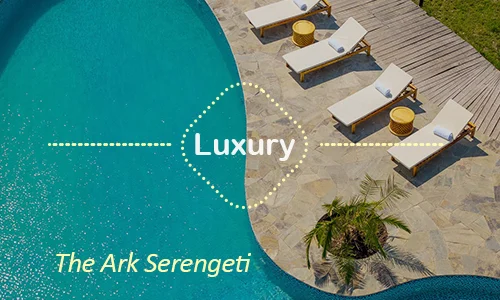 The Ark Serengeti - Crater Rim Luxury