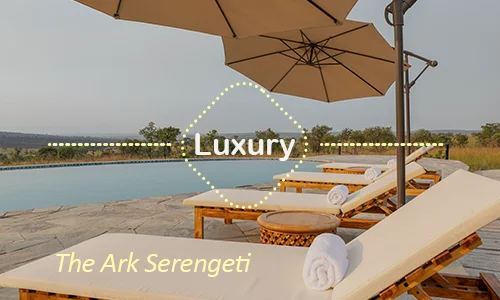 The Ark Serengeti luxury suites - Unique design