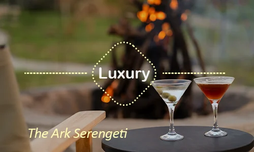 The Ark Serengeti luxury - Day 8
