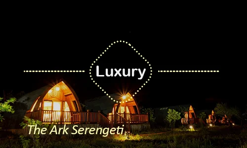 The Ark Serengeti luxury - Day 10