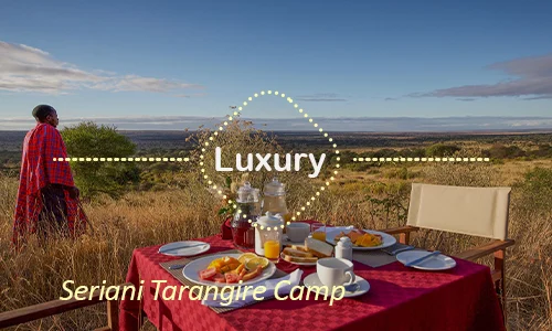 Tarangire luxury safari travel Tanzania