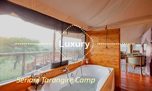 Seriani Tarangire Camp - Romantic Safari
