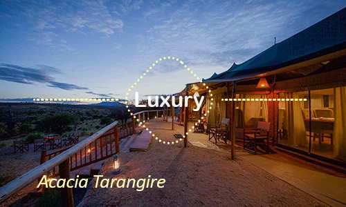 Tarangire luxury safari travel Tanzania