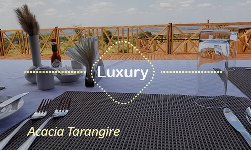 Tarangire luxury safari travel Tanzania