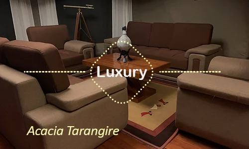 Tarangire luxury safari travel Tanzania