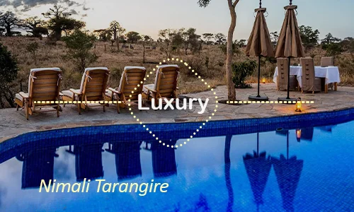Tarangire luxury safari travel Tanzania