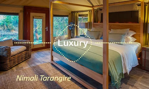 Tarangire luxury safari travel Tanzania