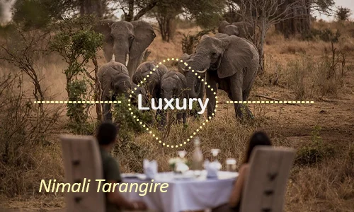 Nimali Tarangire - Private Safari