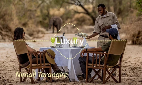 Luxury Nimali Tarangire - Day 3