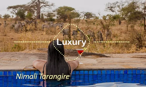 Nimali Tarangire luxury lodge - Tarangire game viewing