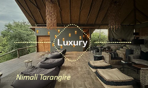 Tarangire luxury safari travel Tanzania