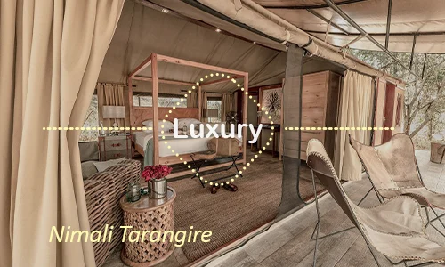 Tarangire luxury safari travel Tanzania