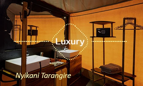 Tarangire luxury safari travel Tanzania