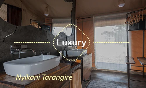 Tarangire luxury safari travel Tanzania