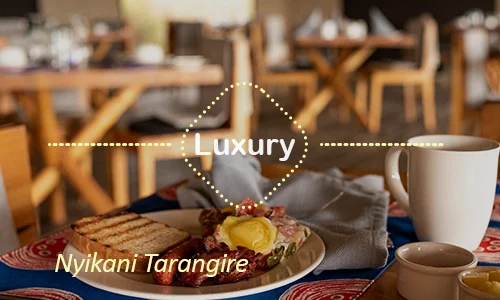 Tarangire luxury safari travel Tanzania