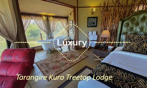 Tarangire Kuro Treetop Lodge - Luxury Treehouse Experience