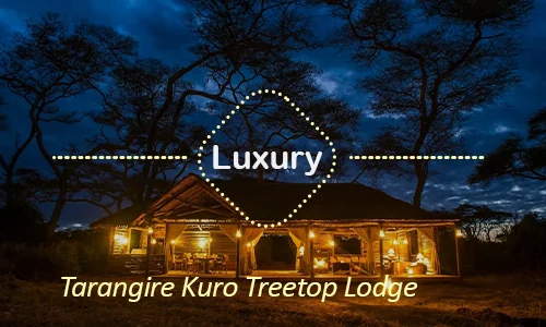 Tarangire Kuro Treetop Lodge - Honeymoon Luxury