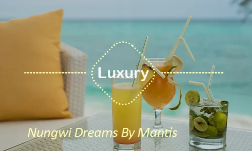 Nungwi Dreams by Mantis - Luxury Beach Villa