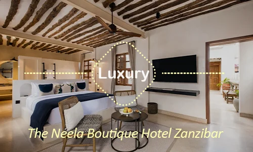 The Neela Boutique Hotel - Departure Luxury Suite