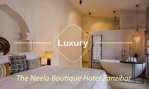 Neela Boutique - cultural proximity