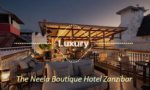 The Neela Boutique - final morning luxury