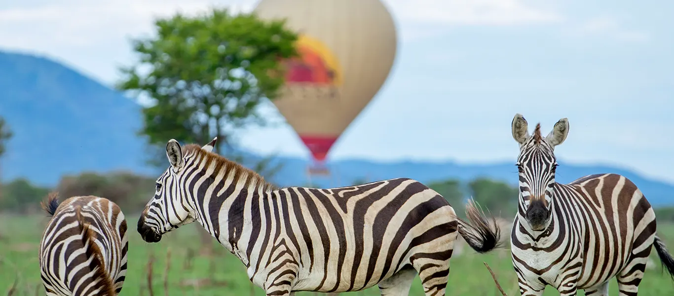 14-Day Honeymoon & Balloon Safari Tanzania | Luxury