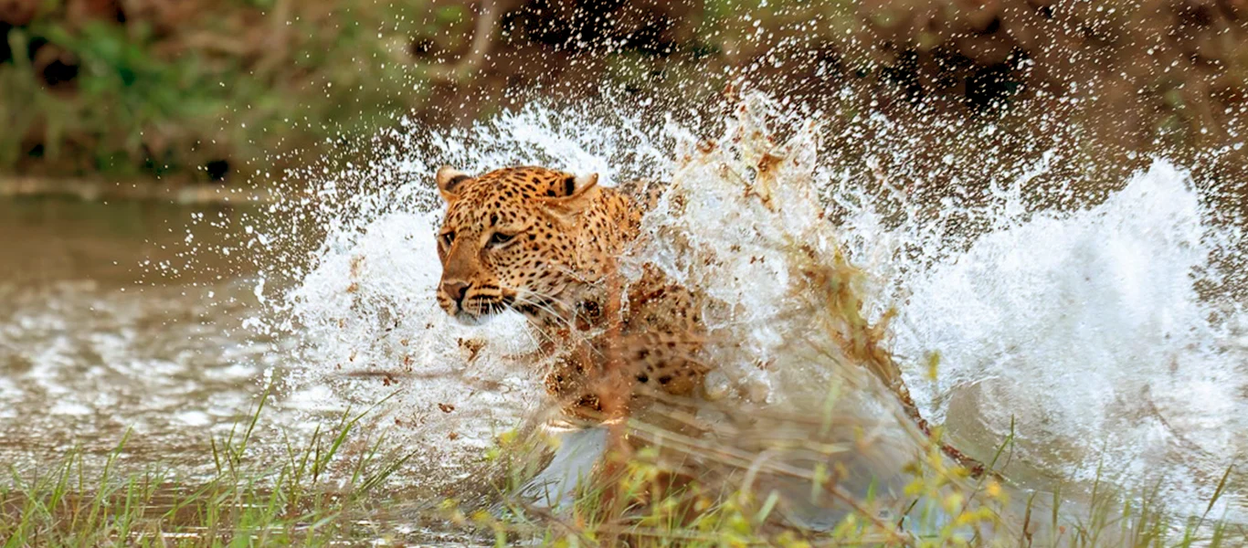 7-Day Photography Safari Tanzania | Luxury Private Guide