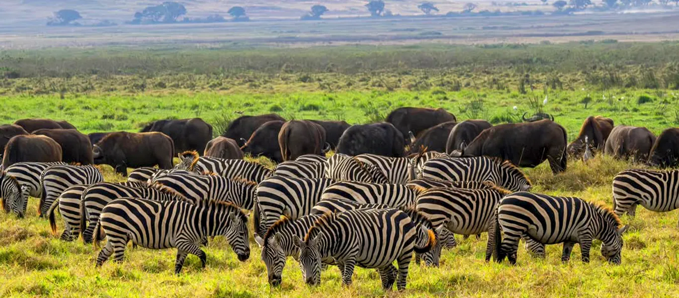 7-Day Romantic Safari Tanzania | Northern Circuit Luxury
