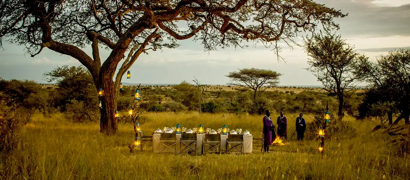 Best 4-Days Luxury Great Migration Safari Tanzania 2026 | Private Serengeti