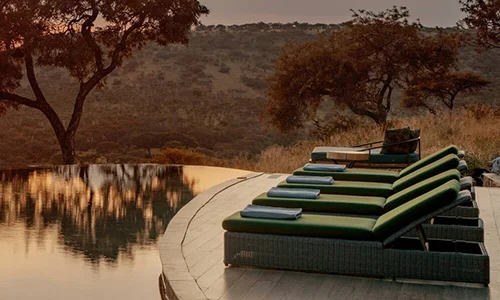 Best Time for Luxury Safari Tanzania – Complete Guide to Seasons, River Crossings & Calving