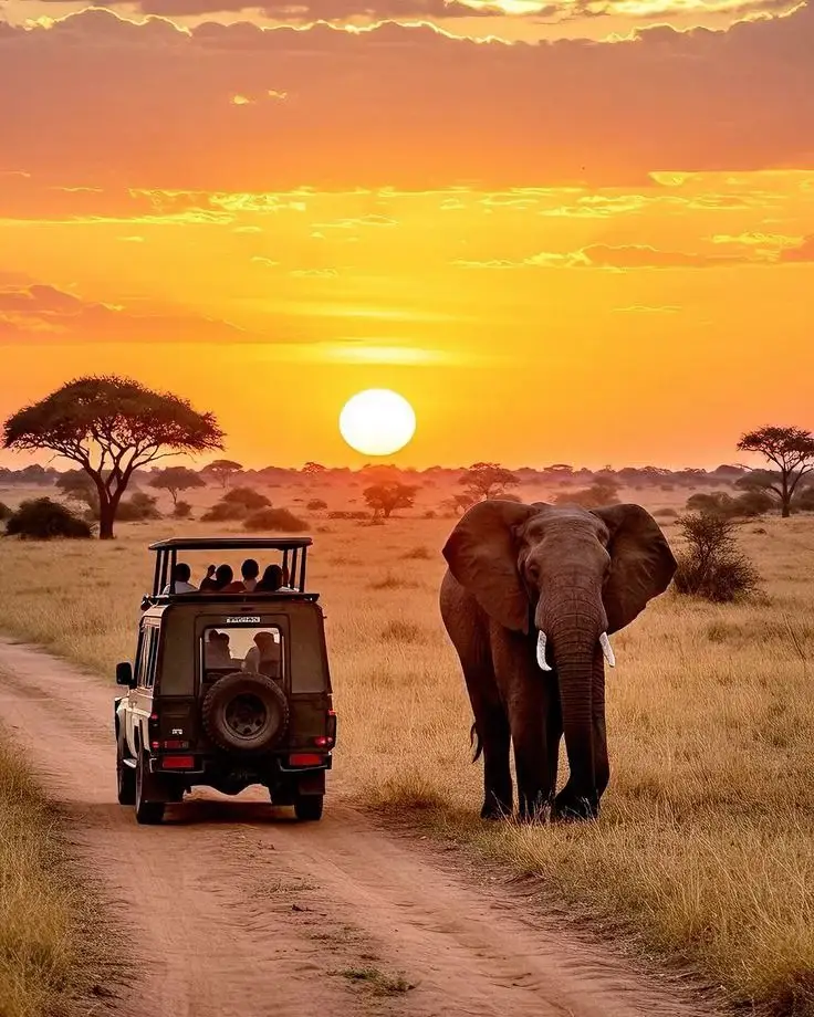 5-Day Exclusive Luxury Serengeti Migration Safari – Private Vehicle & Premium Tented Camps