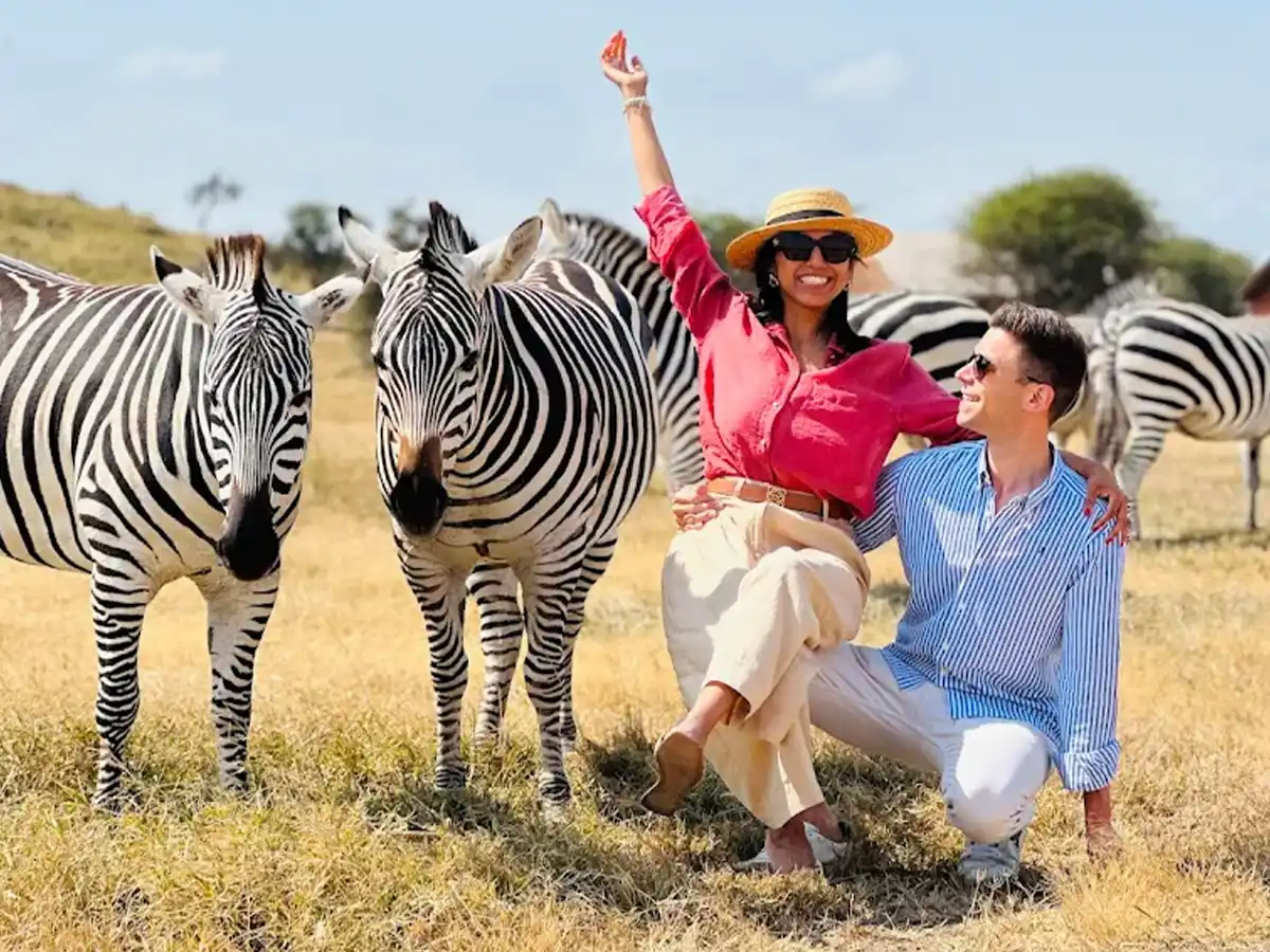 10 Days luxury honeymoon safari starting from Moshi Tanzania