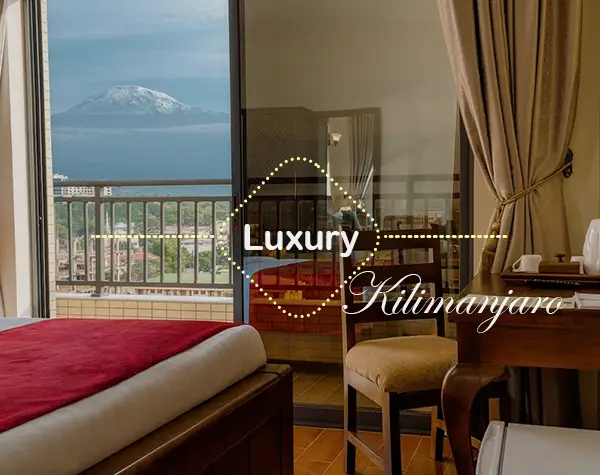 Kilimanjaro route scenery