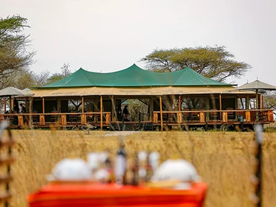 Luxury safari camp in the Serengeti