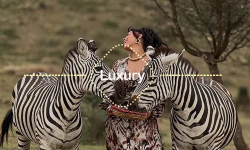 10 Days Private Safari from Arusha or Moshi