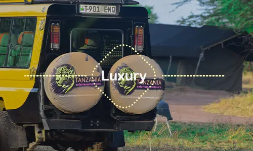 7 Days Luxury Serengeti Safari From Zanzibar