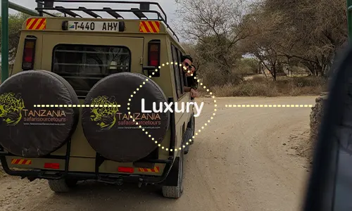 7 Days Northern Circuit Luxury Romantic Safari