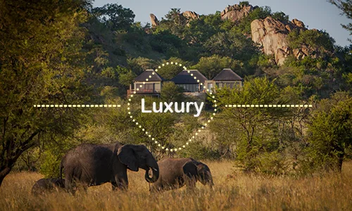 9 Days Serengeti Luxury Safari & Beach Holiday
