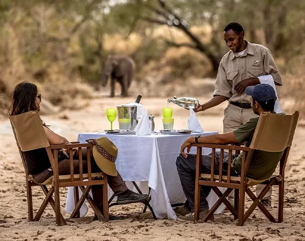 Expert safari guide sharing wildlife insights during a luxury Tanzania safari