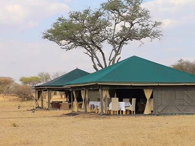 Nimali Central Serengeti luxury tented suite
