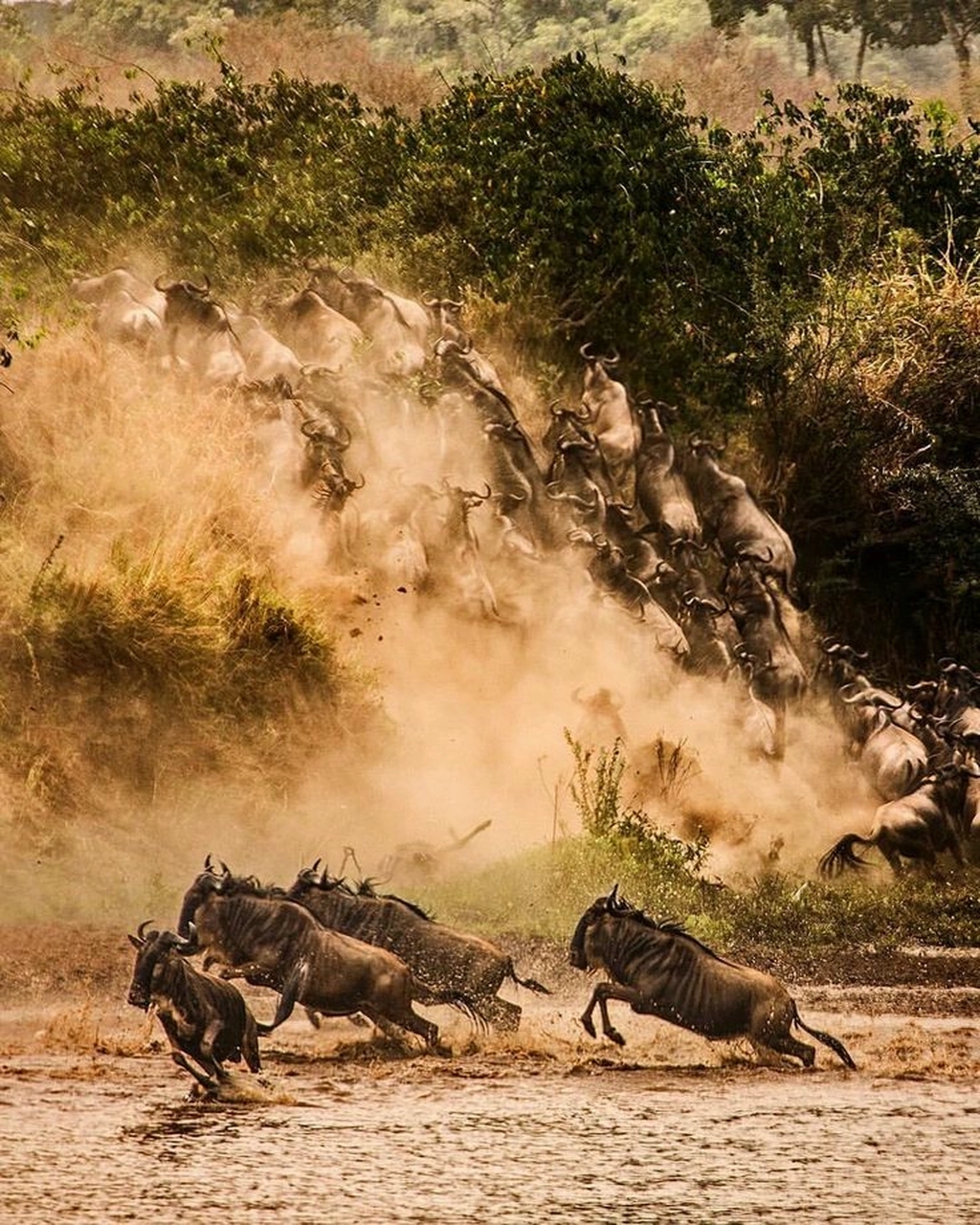 5-Day Private Safari $4500