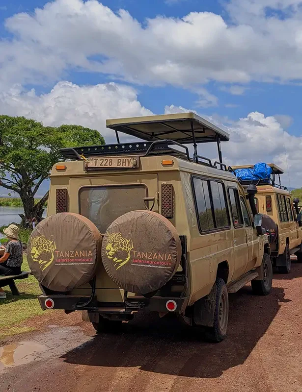 Luxury Serengeti safari trips in Tanzania
